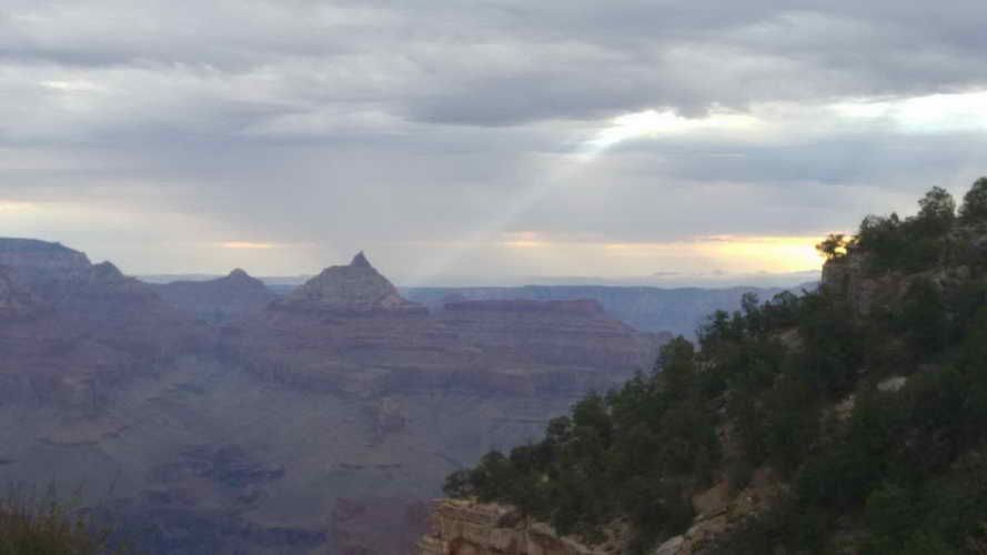 USA_2018-07-14 06-47-01_CELL_20180714_064701